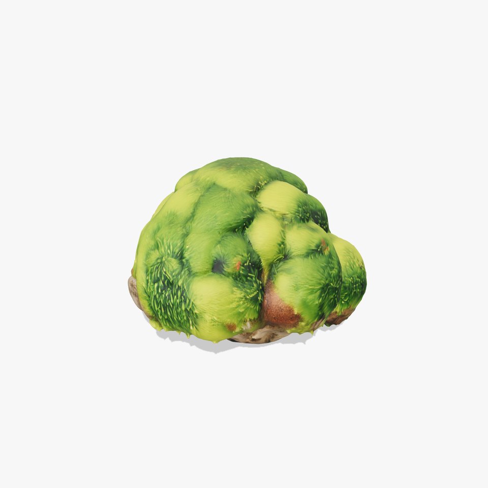 Green Mossy Rock model pack